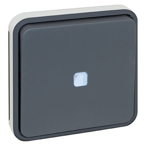 Leuchtknopf-Button, 10A, kombinierbar - IP55 - OXXO, Farbe Grau