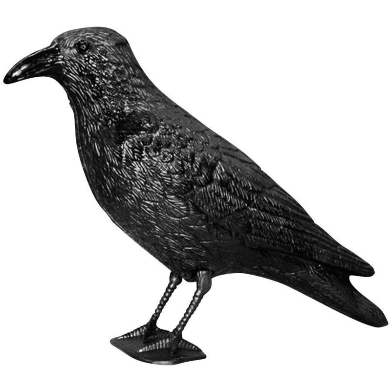 Corbeau anti-pigeons effet dissuasif Swissinno 1 582 001K pour lintérieur/extérieur
