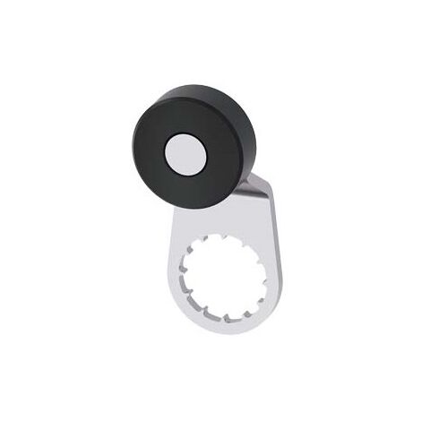 Leva Girevole per interruttore di posizione 3SE51 Leva in metallo Forma A lunga 27 mm, gradino 9 mm con rotella in plastica 19 mm secondo EN 50041