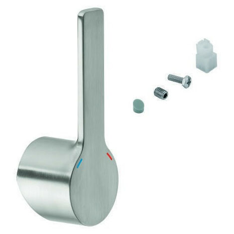 Leva GROHE 46984 acciaio