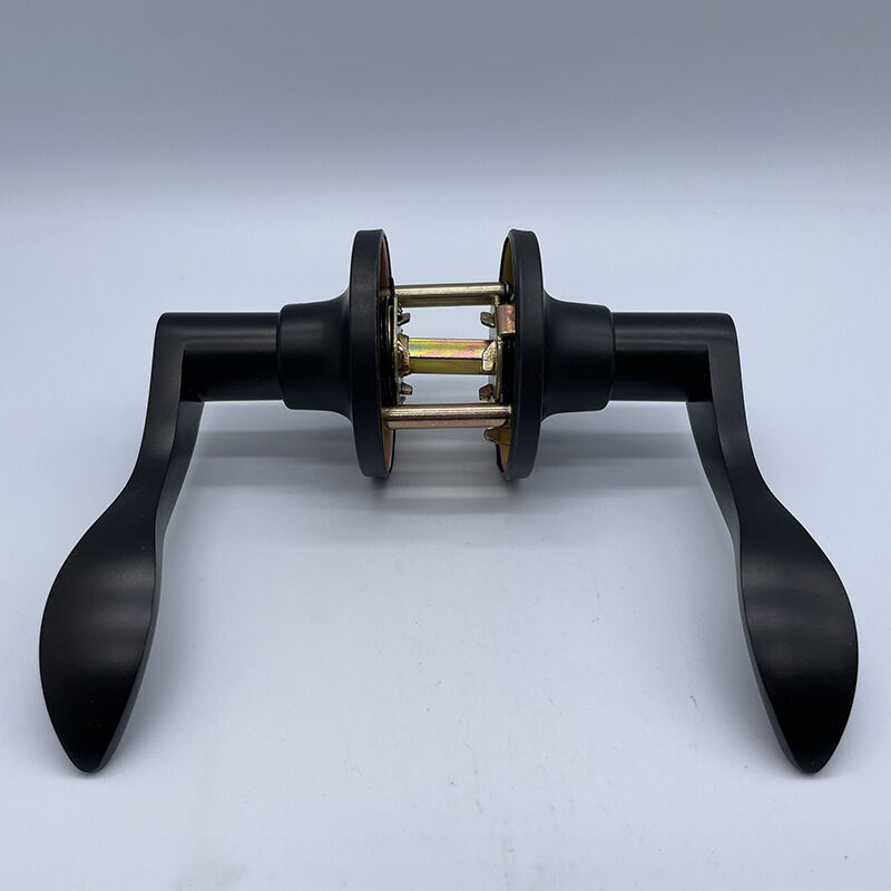 Linghhang - Lever Door Handles Privacy Door Handle Lever for Bathroom Bedroom [Energy Class a]