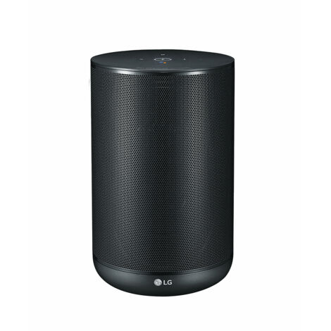 LG WK7 Enceinte Bluetooth compatible Assistant Google - 30W - Noir