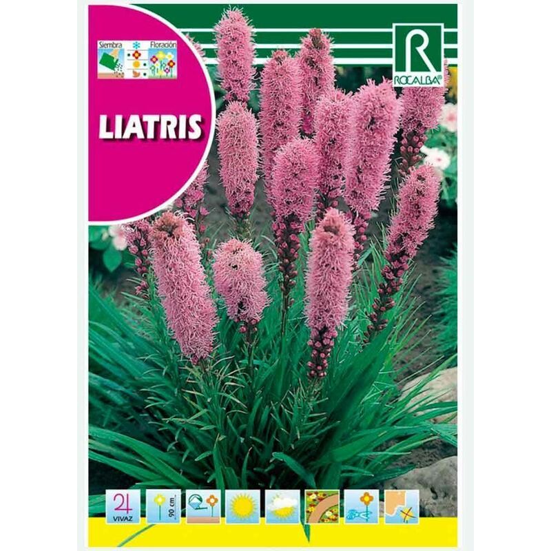 

Liatris Spicata - Sobre De Semillas 1G