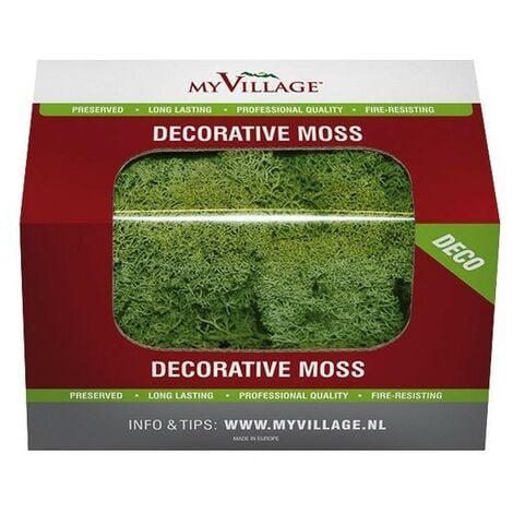 MYVILLAGE Lichen Vert 50 g