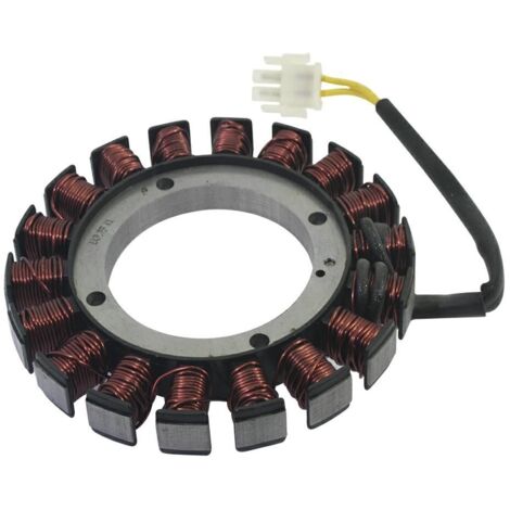 Lichtmaschine Motor Motor Grubber 2P82F LONCIN 270190023-0001