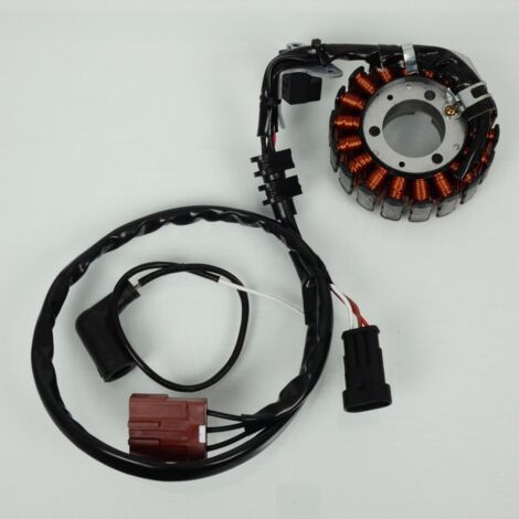 Lichtmaschine RMS für Roller Piaggio 250 Vespa Gtv 2006 bis 2009