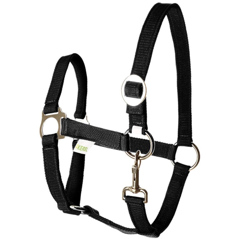 Licol écurie équitation randonné pony design classic robuste bouclerie inox têtière réglable cheval poney