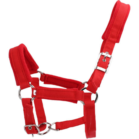 Licol de cheval réglable en polaire douce épaisse rembourrée, sangle en Nylon PP de 25mm de largeur, licol d'équitation avec boucle en métal