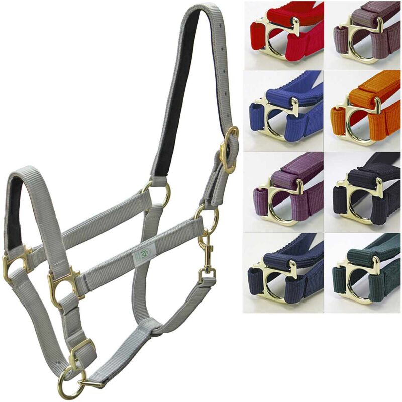 Cob, rosso: Licol en nylon doublé de cuir avec boucles plaquées en laiton