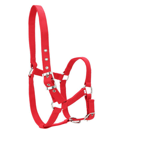 Licou de Contrôle Équitation en Sangle Renforcée 6mm Haute Densité, Accessoire Rouge pour Cheval