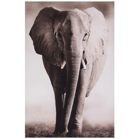 Lienzo enmarcado Animales 75x115cm - Atmosphera créateur d'intérieur