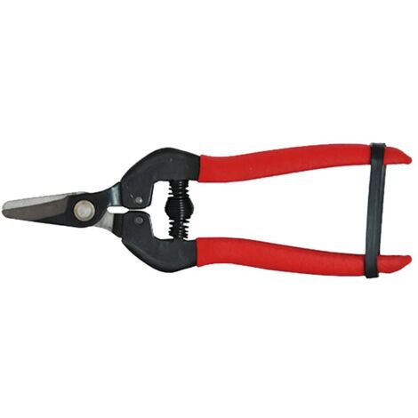 Lif forbici cogliuva 16 cm con lama dritta in acciaio impugnatura antiscivolo chiusura in gomma