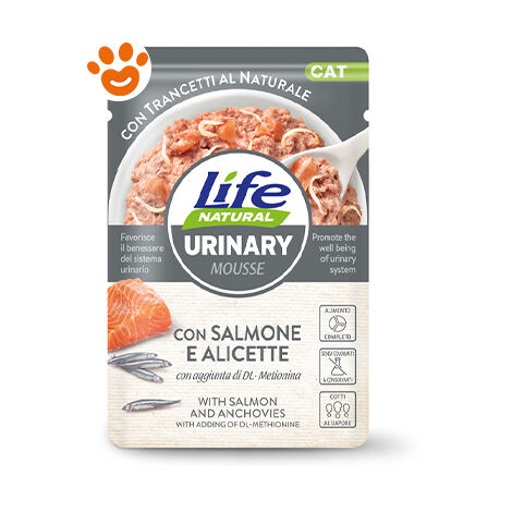 Life Cat in Busta 70gr Urinary Salmone con Alicette