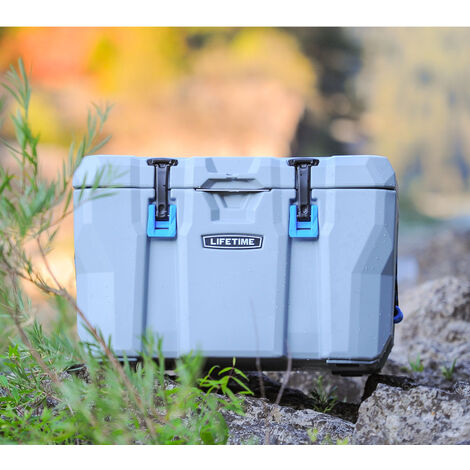 Lifetime Premium Kühlbox, Campingkühlschrank "Cooler" mit Tragegriffen grau 52 l Volumen