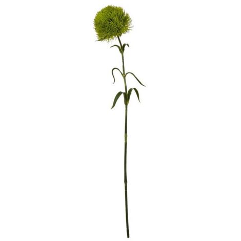 Light Dianthus (Single Stem Flower) - Plastic - Height 53 cm - Green