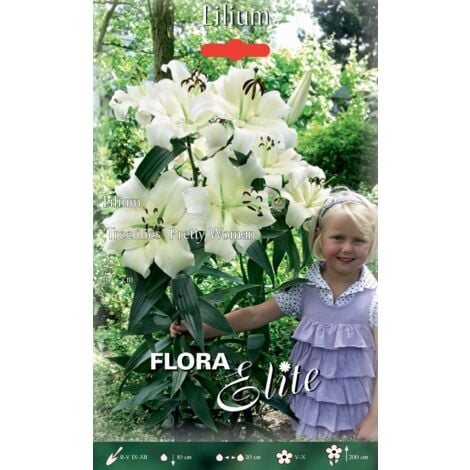 PERAGASHOP LILIUM HYBRIDS PRETTY WOMAN CONFEZIONE DA 2 BULBI AUTUNNALI BULBS BULBES