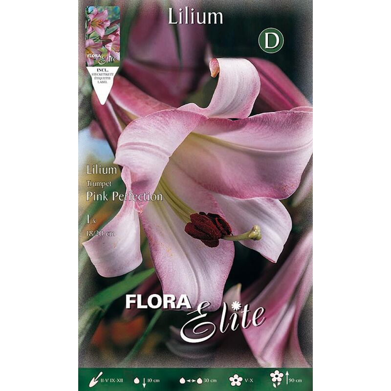 Peragashop - lilium trompette rose perfection (pack de 1 ampoule)