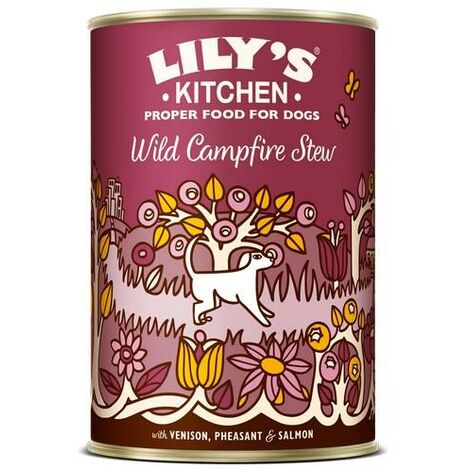 Lilys Kitchen Wild Campfire Stew for Dogs 400g PK6 - 15055