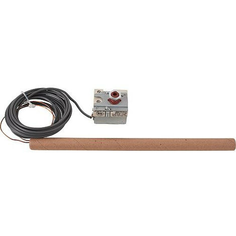 Limiteur de T°C de securite I   3510