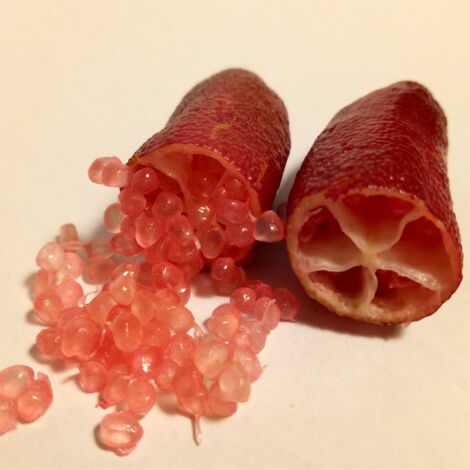 Limone caviale "Rosso"