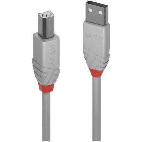 Lindy 36684 cavo USB USB 2.0 3 m USB A USB B Grigio