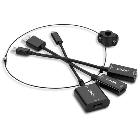 LINDY 38304 DisplayPort / HDMI / Mini-Display / USB-C® Convertisseur [3x DisplayPort mâle, Mini port Display mâle, USB-C® mâle - 3x HDMI femelle] S218752
