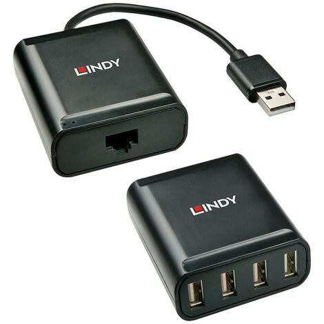 Lindy 42679 hub di interfaccia USB 2.0 Nero