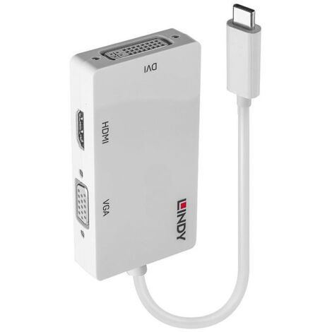 Lindy 43273 adattatore grafico USB 3840 x 2160 Pixel Bianco