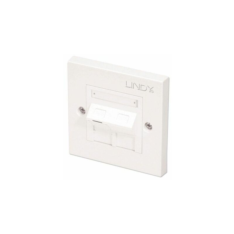 

CAT6 Single Wall Plate - Lindy