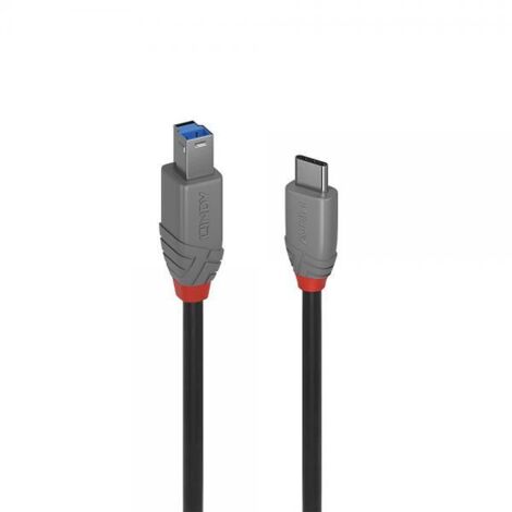 LINDY Cavo USB USB 3.2 Gen1 (USB 3.0) Spina USB-C®, Spina USB-B 2.00 m Nero 36667