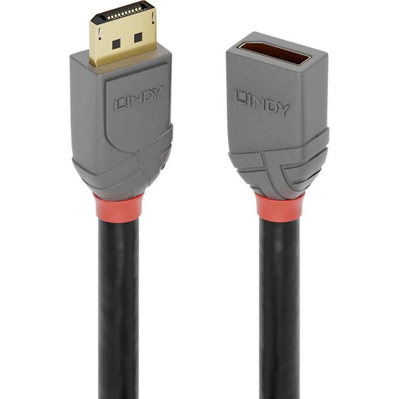 Lindy - Rallonge DisplayPort Fiche mâle DisplayPort, Prise femelle DisplayPort 0.50 m anthracite, noir, rouge 36495 conta