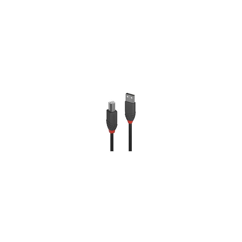 Lindy - usb 2.0 a to b Cable 3m Blk