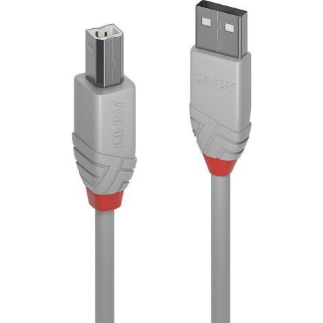 LINDY USB-Kabel  USB 2.0 USB-A Stecker, USB-B Stecker 3.00 m Grau  36684