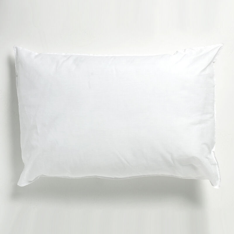 Value Range Polyester Pillows And Pillow Protectors, 2 Pack - Linens Limited
