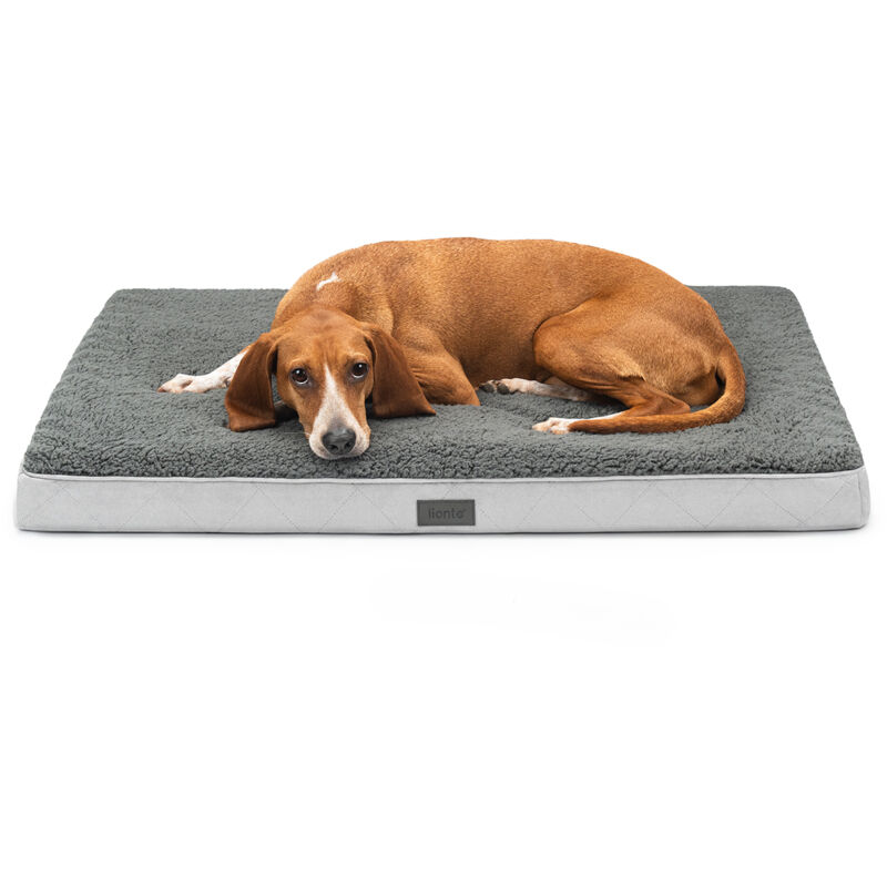 Lionto - Orthopädisches Hundebett, 91x69x8 Cm, Für Hunde & Katzen, Grau