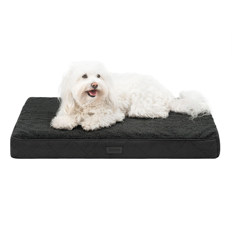 Orthopädisches Hundebett, 76x51x8 Cm, Für Hunde & Katzen, Schwarz - Lionto