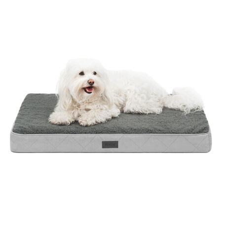 lionto orthopädisches Hundebett, 76x51x8 cm, für Hunde & Katzen, grau
