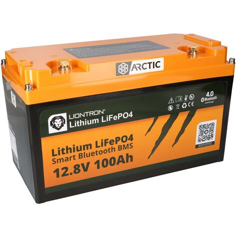 0% MwSt.】LiTime 12V 100Ah Selbstwärmende LiFePO4 Batterie mit 100A BM –  LiTime-DE