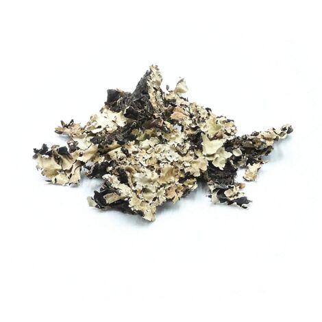 Liquen BioBlack 25 g