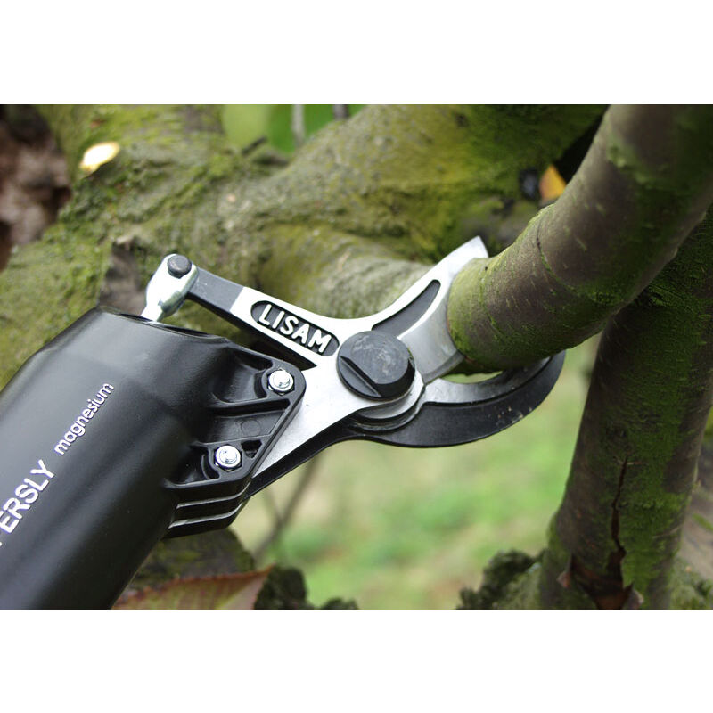 Super sly Élagueur pneumatique 9037 - Lisam