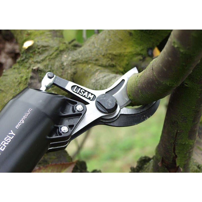 Super sly Élagueur pneumatique 9038 - Lisam