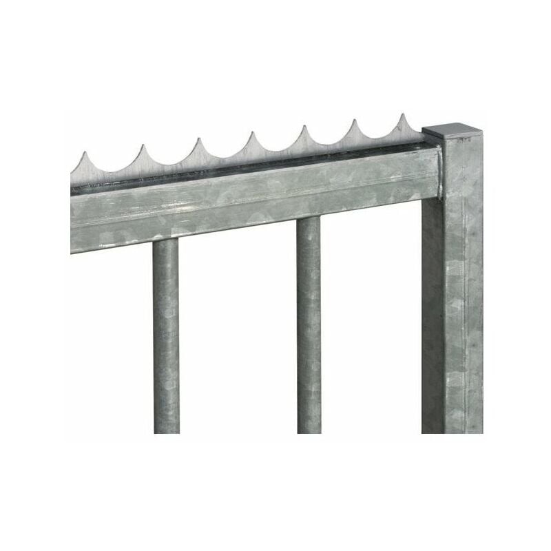 Locinox - Lisse Défensive Galvanisé à Chaud à Visser Longueur 2m. Vendu à l'unité