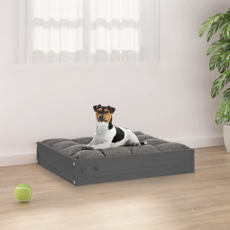 Vidaxl - Lit pour chien Gris 51,5x44x9 cm Bois de pin solide