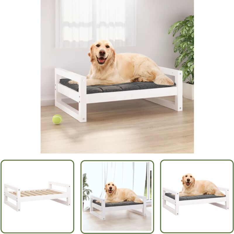 The Living Store Lit pour chien Blanc 75,5x55,5x28 cm Bois de pin solide - Panier Pour Chien - Lit Pour Chien - Maison Pour Chien - Couchage Chien