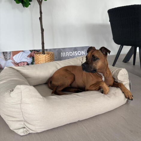 Lit pour chien SMALL - Série Roya