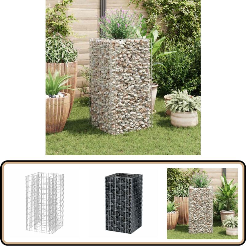 Lit surélevé à gabion Acier 50x50x100 cm - Jardinière En Gabion - Bac à Plantation Surélevé - Border Fleuri - Décoration Extérieur - Jardin Design