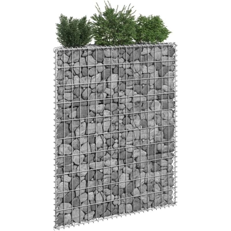 Vidaxl - Lit surélevé à gabion en trapèze Acier galvanisé 80x20x100 cm