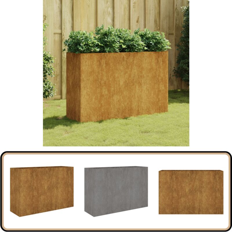 Vidaxl - Lit surélevé de jardin 120x40x80 cm acier corten - Jardiniere - Lit Surélevé - Acier Corten - Décoration Extérieur - Plante