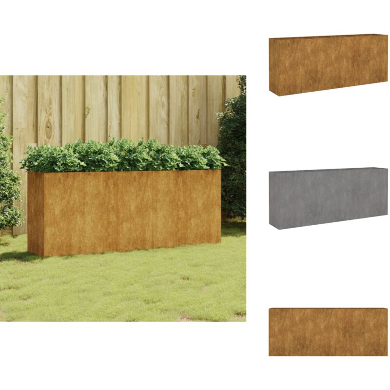 Vidaxl - Lit surélevé de jardin 200x40x80 cm acier corten - Jardiniere Exterieur - Pot De Fleurs Extérieur - Lit Surélevé Jardin - Bac Plante - Acier