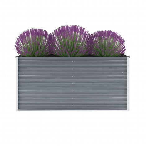 Lit surélevé de jardin Acier galvanisé 160x40x77 cm Gris